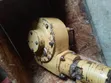 Caterpillar G & H Series Circle Turning System (Used) - 2
