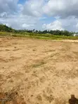 Plot for Sale in Kidete, Kigamboni - 2