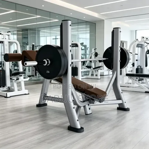 Commercial Seated Weight Bench - 1