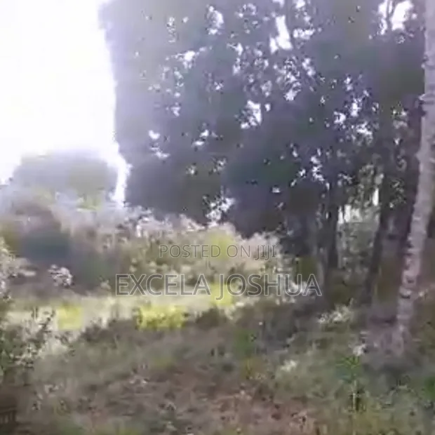 Kimara Suka Plot for Sale - 1200 sqm - 1