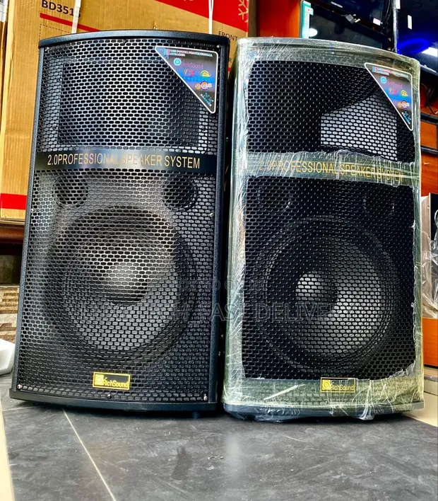 RichSound RS-102B 12" Professional Karaoke Speakers 160W - 1