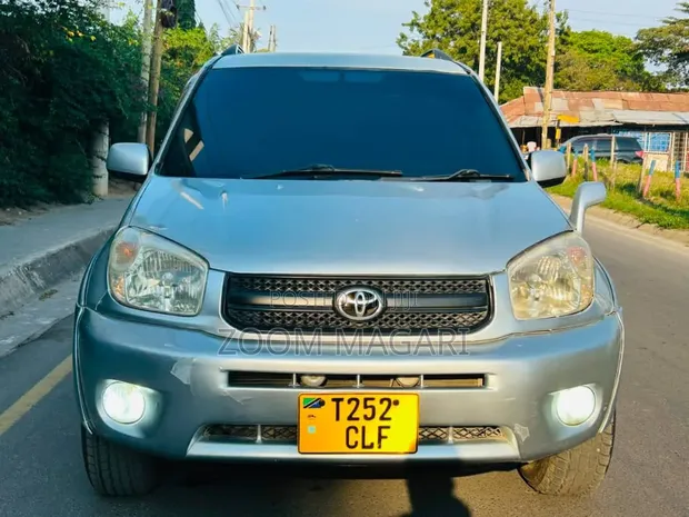 Toyota RAV4 2005 Silver - 1