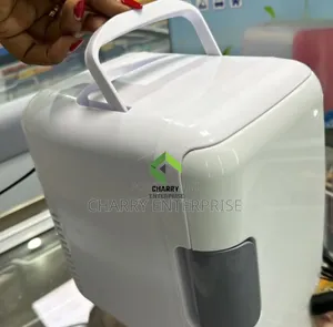 Portable Car Cooler Mini Fridge for Vehicle and Home Use
