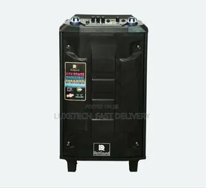 RichSound RS-219 12" Rechargeable Trolley PA Speaker + 2 Mics