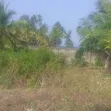 Second Line Beach Plot for Sale at Matemwe, Zanzibar - 3
