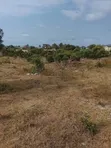 Second Line Beach Plot for Sale at Matemwe, Zanzibar - 5