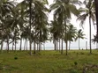Beach Plot for Sale at Kigamboni, 12 Acres - 3