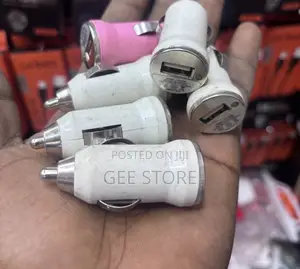 Mini USB Car Charger Adapter (12V-24V Input, 5V/1A Output)