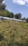 Kiwanja cha Pili kutoka Bahari Mauzo Jambiani Zanzibar - 1