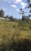 Kiwanja cha Pili kutoka Bahari Mauzo Jambiani Zanzibar - 2