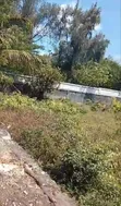 Kiwanja cha Pili kutoka Bahari Mauzo Jambiani Zanzibar - 4