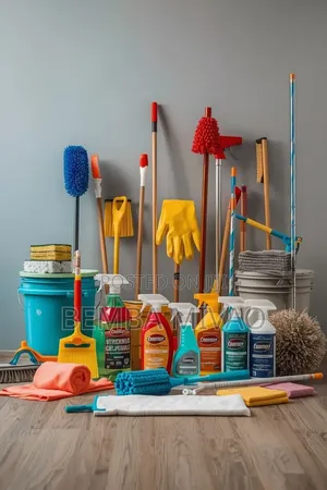 BM Africa Shines: Cleaning & Property Management Services