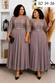 Women's Plus Size Chiffon Maxi Dress - 4
