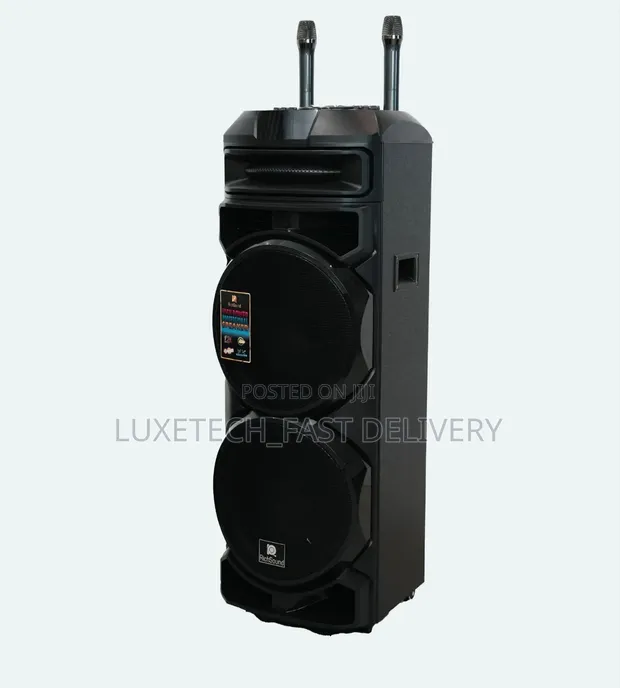 RichSound Dual 12" Party Speaker 100W with 2 Wireless Mics - 1
