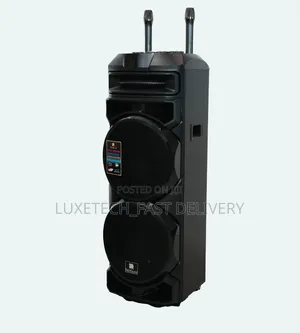 RichSound Dual 12" Party Speaker 100W with 2 Wireless Mics