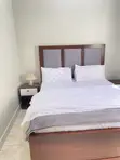 Furnished 2-Bedroom Apartment for Rent in Msasani - 2