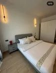 Furnished 1 Bedroom Apartment for Rent in Masaki - 4