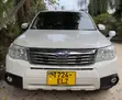 Subaru Forester 2009 Pearl - 4
