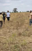 Arusha Residential Plots for Sale - Affordable - 2