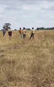 Arusha Residential Plots for Sale - Affordable - 4
