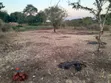 Usariver Bypass Land for Sale, Arusha - 4