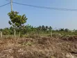 Land for Sale in Chanika, Ilala - 6400 sqm - 5