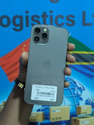 Apple iPhone 12 Pro Max 256GB Gray (Refurbished)
