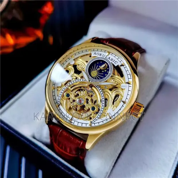 Aokulasic Luxury Automatic Skeleton Watch - 1