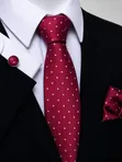 Classic Necktie and Accessories Set - 3