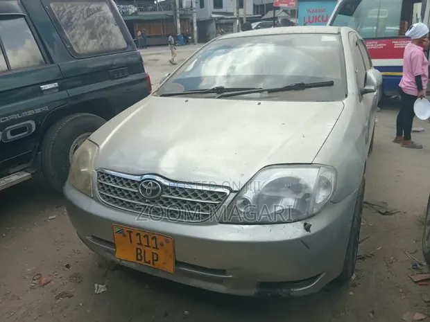 Toyota Corolla 2002 Silver - 1