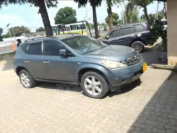 Nissan Murano 2005 Kijivu - 1
