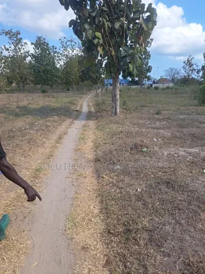 8 Acres Land for Sale, Mapinga Amani Mwisho