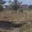 Land for Sale: Chanika Buyuni Block 26 - 2