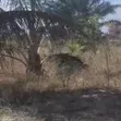 Land for Sale: Chanika Buyuni Block 26 - 3