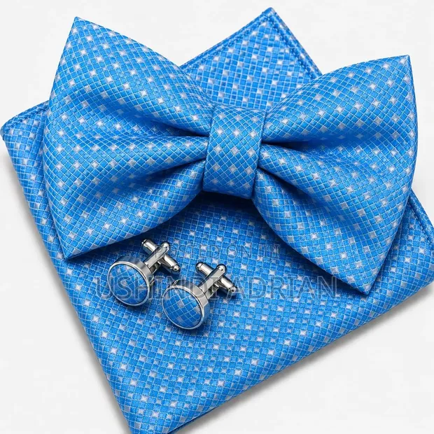 D'Orvén Gentleman Bowtie Set - 1