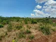 Land for Sale in Kigamboni Geza Ulole - 3