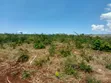 Land for Sale in Kigamboni Geza Ulole - 4