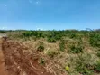 Land for Sale in Kigamboni Geza Ulole - 5