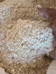 Mahindi Paraza kwa Mifugo - 2