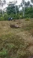 Plot for Sale at Mwera, Zanzibar - 1