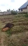 Plot for Sale at Mwera, Zanzibar - 2