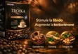 Cafe Troika - Ginseng, Red Mushroom, Tongkat Ali - 2