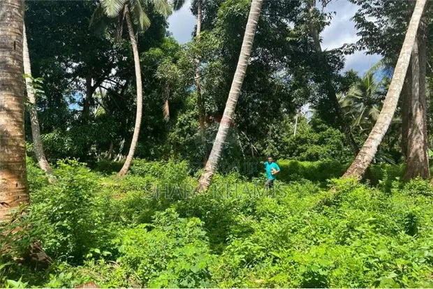 Shamba la Eka 10 Kiboje Linauzwa - 1