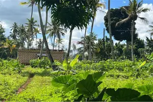 Kiboje 10-Acre Farmland for Sale