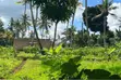 Shamba la Eka 10 Kiboje Linauzwa - 2