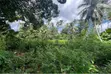 Shamba la Eka 10 Kiboje Linauzwa - 4