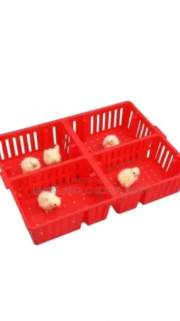 Chick Brooder Cages - 1