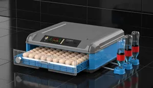 Egg Incubator - 60 Egg Capacity