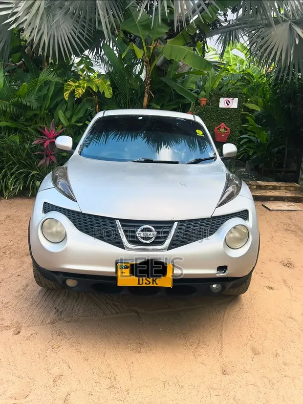 Nissan Juke 2011 Silver - 1