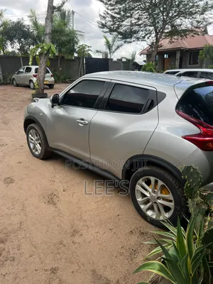 Nissan Juke 2011 Silver